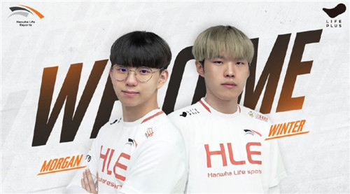 这种选择无 这种选择无